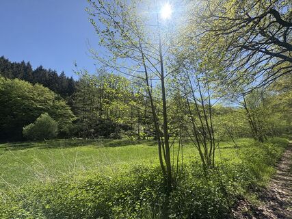 Fotografija s spletne strani Anja Richter na poti