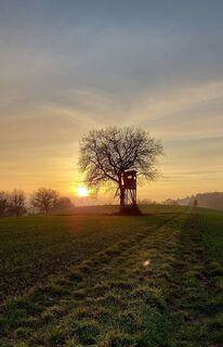 Landschaft bei Neuenbürg
