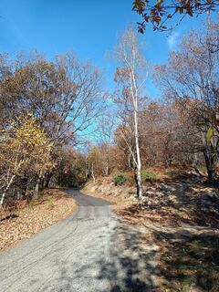 Foto von emanuele papi entlang der Tour