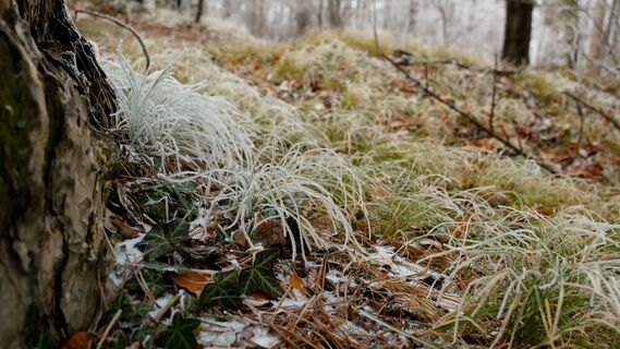 Winterwandern