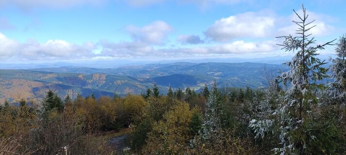 Foto da Sylwiasuchy76 lungo il tour