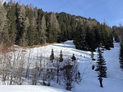 Foto von Grizzli entlang der Tour