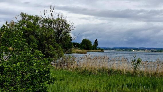 Foto de Elisabeth Vonarburg a lo largo del recorrido