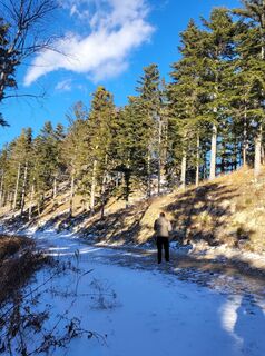 Photo de Anita Stadtherr le long du parcours