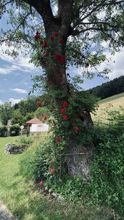 Fotografia z Kathrin Fiedler na trase