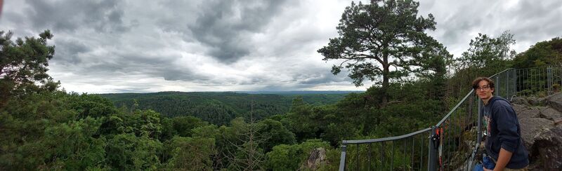 Fotografija s spletne strani Maren Auer na poti