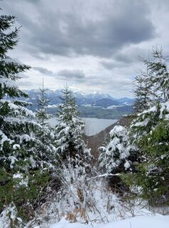 Foto von Elfriede Thanecker entlang der Tour