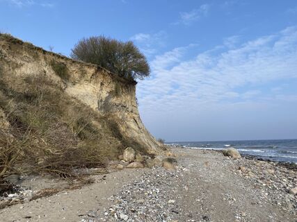 Photo de Wolf Ese le long du parcours