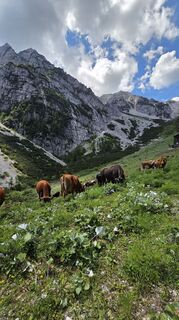 Photo de Klementina Gartner le long du parcours