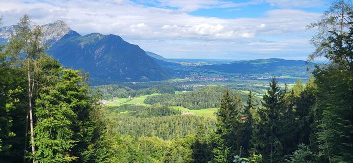 Fotografia z Maxi Kid na trase