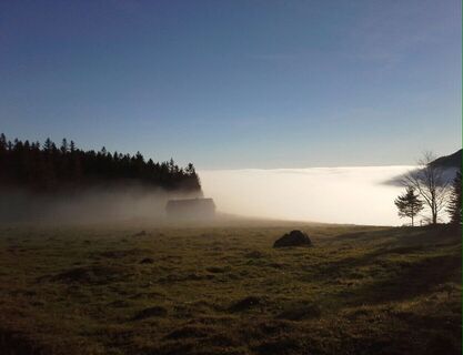 Die Talleitn im Morgennebel