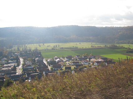 Enzaue