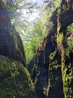 Foto von Steffen Pydde entlang der Tour