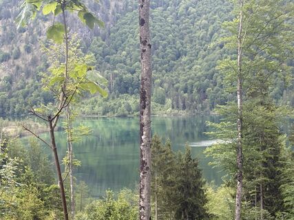 Foto de Nikoletta Sándor-Opavszky a lo largo del recorrido