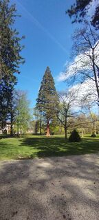 Fotografija s spletne strani Christine Fischer na poti