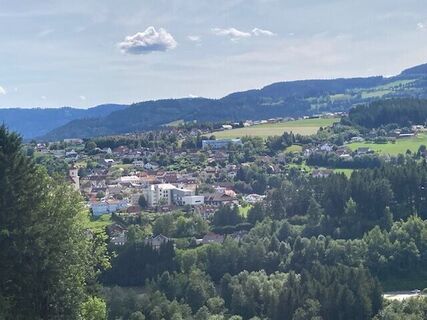 Edlseer-Alm7_Birkfeld_Oststeiermark