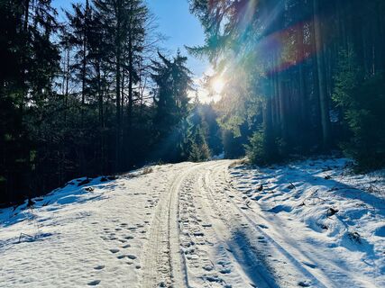 Foto de Manuel Leitner a lo largo del recorrido