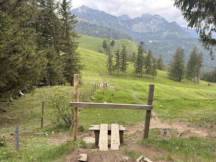 Fotografia z justasimpleguy na trase