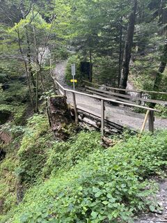 Foto von Rita Gort entlang der Tour