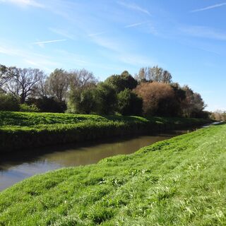 Leithaauen