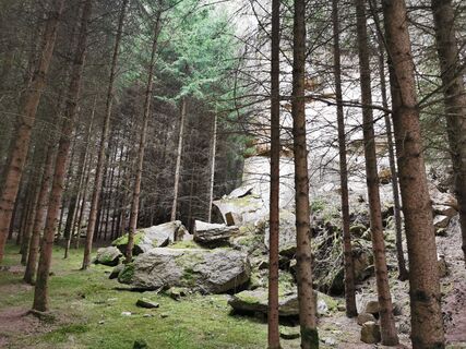 Foto von Michael Leisser entlang der Tour