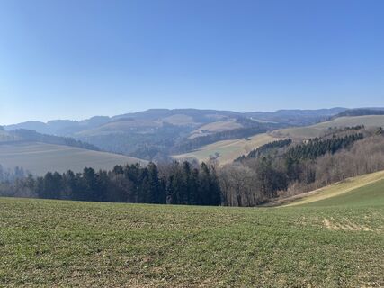 Fotografija s spletne strani Rainer Haumer na poti