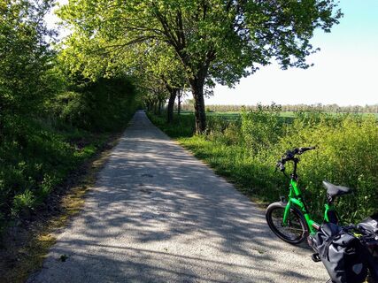 Alter Soestweg mit Obstplantagen