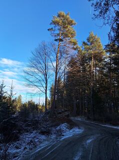 Foto von Dagmar Hofer entlang der Tour