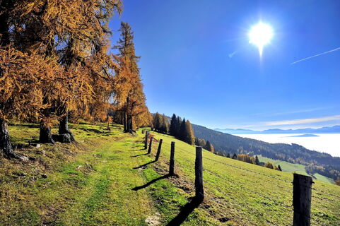 Aussicht am Hocheckweg