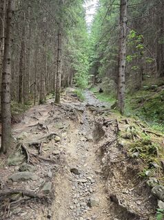 Photo de Marc Schneider 6 le long du parcours