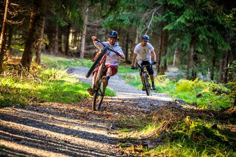 Hoftaltrail