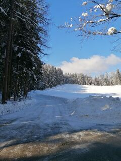 Foto de Dagmar Hofer a lo largo del recorrido