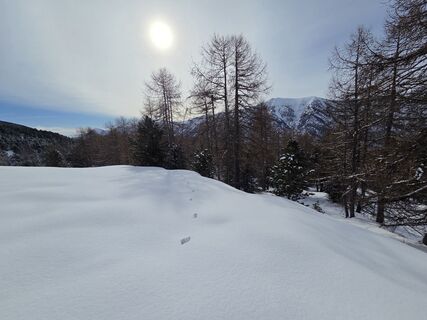 Foto van FABIO MAGLIANO langs de tour