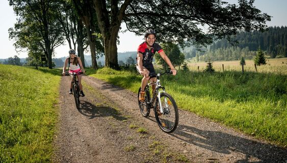 Mountainbiken im Waldviertel