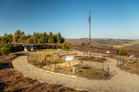 Ausblick vom Wabelsberg am Traumpfad Wacholderweg