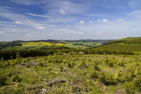 Blick vom Blackshahn nahe Waldeshöhe auf dem Sauerland-Höhenflug