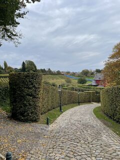 Zdjęcie z Leen Duytschaevers wzdłuż trasy