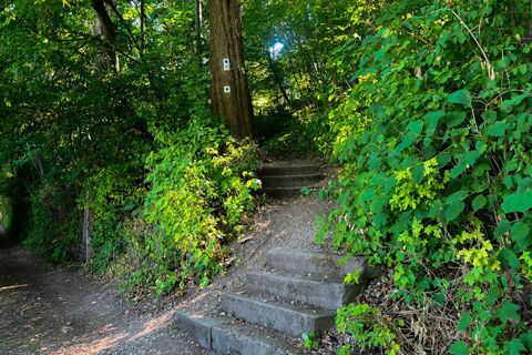 Treppen zur Ruine - Meiningen