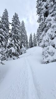 Fotografija s spletne strani Philipp na poti