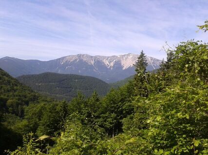 Blick von der Kaiserbenwiese zum Schneeberg