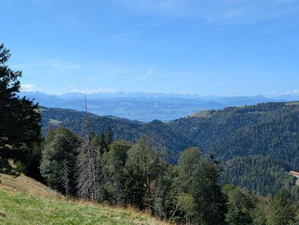 Foto von WolBo entlang der Tour