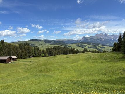 Foto von Lui 2 entlang der Tour