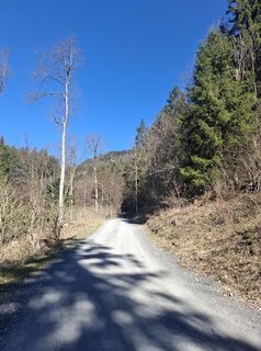 Foto von Miha Gros entlang der Tour