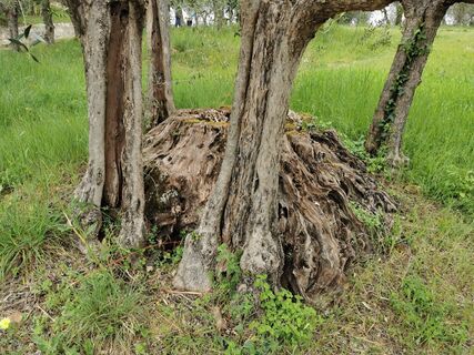 Foto von Andreas entlang der Tour