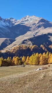 Fotografija s spletne strani Fabrizi Mellano na poti