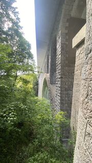 Photo de Michael Jung le long du parcours