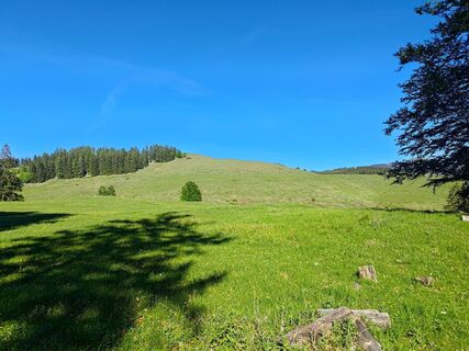 Foto von Stonebull entlang der Tour