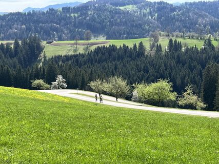 Fotografie z Hannes Weiser na trase