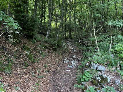 Photo de Stefano “Iddo” le long du parcours