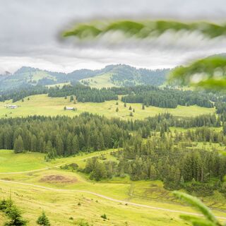Blick auf die Alpflächen im Bereich Imberg und Hörmoos